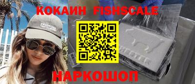 крисы Кулебаки