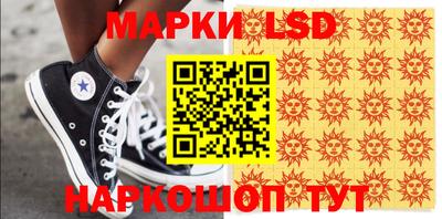 крисы Кулебаки