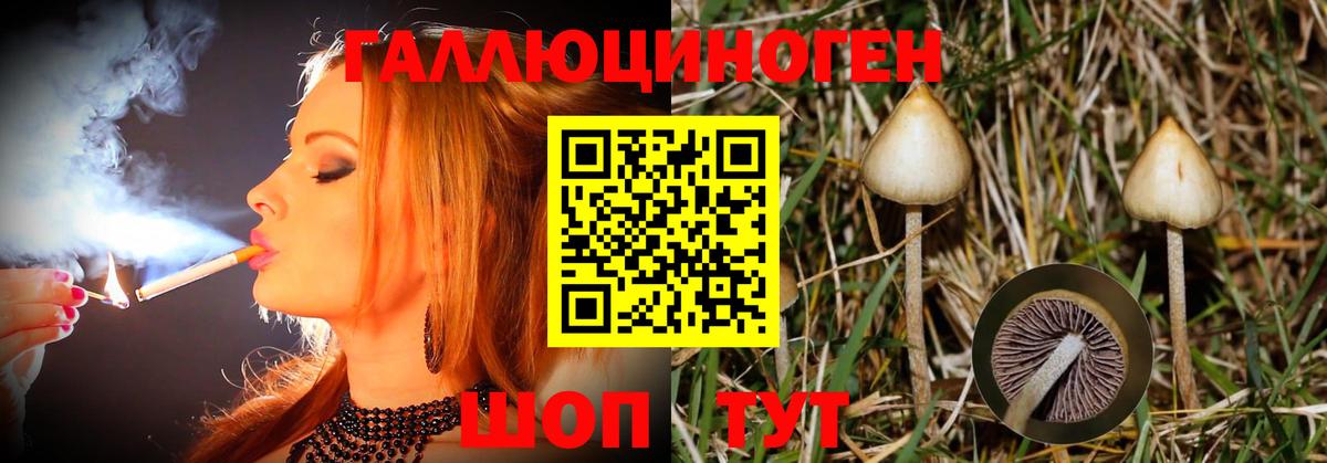 Псилоцибиновые грибы Magic Shrooms Зеленогорск